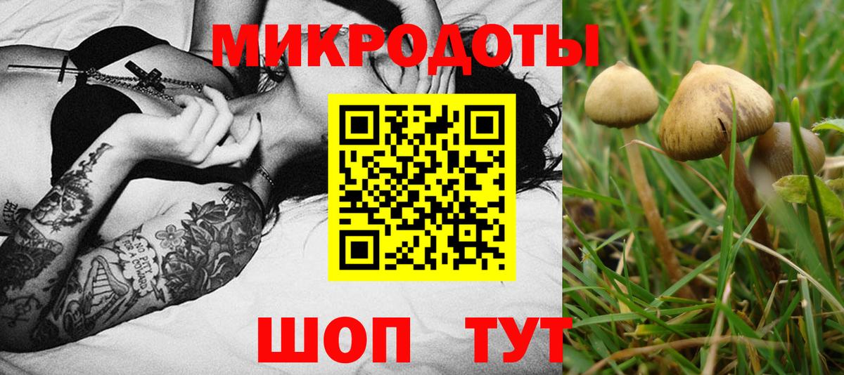 Псилоцибиновые грибы Magic Shrooms  Мичуринск 