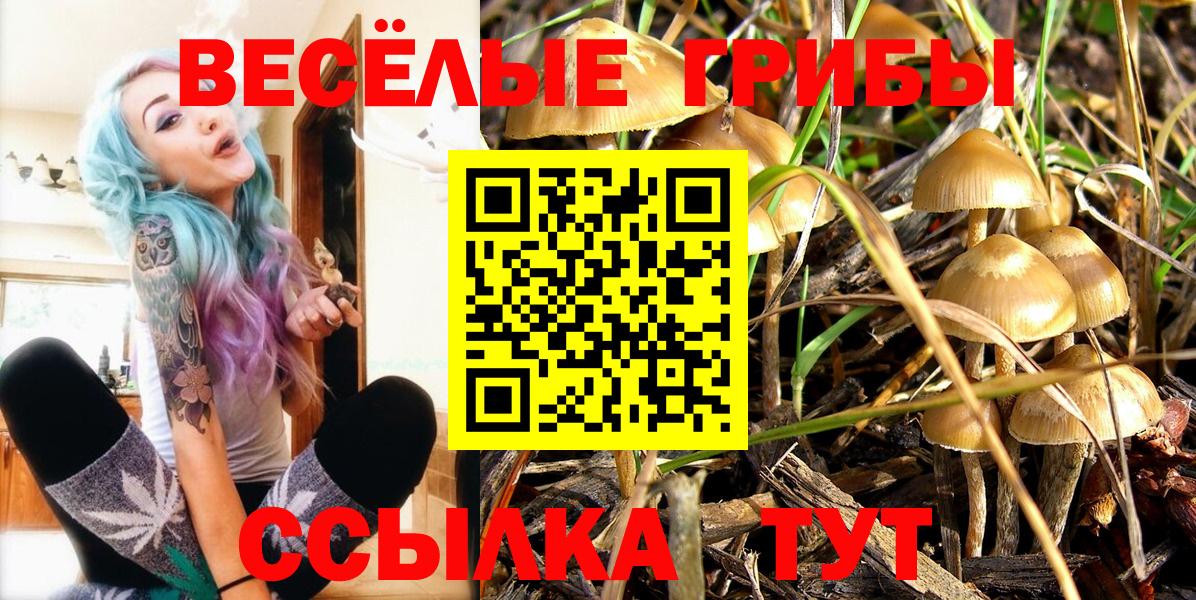 Псилоцибиновые грибы мицелий Мичуринск